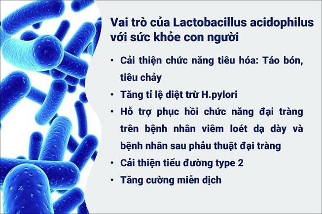 Lactobacillus Acidophilus LA14